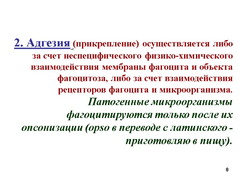 2. Адгезия (прикрепление) осуществляется либо за счет неспецифического физико-химического взаимодействия мембраны фагоцита и объекта